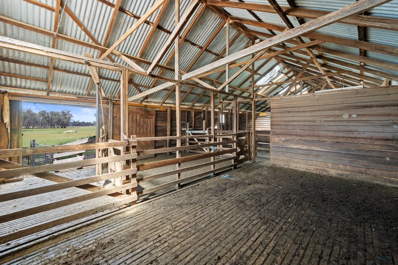 Photo - 264 Plozzas Road, Upotipotpon VIC 3669 - Image 22