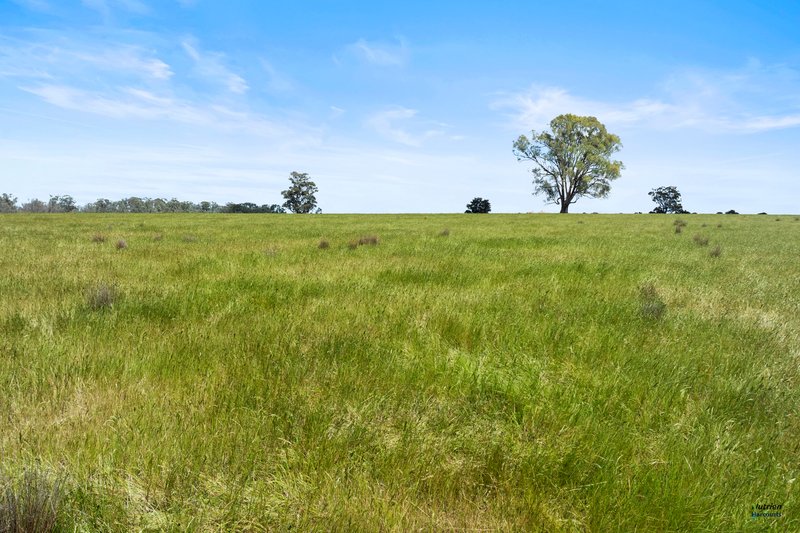 Photo - 264 Plozzas Road, Upotipotpon VIC 3669 - Image 25