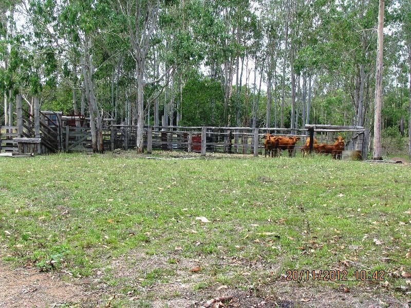 Photo - 264 Thompson A Rd , Woocoo QLD 4620 - Image 7