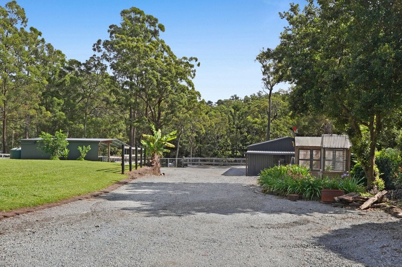 Photo - 264 Trees Road, Tallebudgera QLD 4228 - Image 5