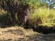 Photo - 265 Litchfield Park Road, Acacia Hills NT 0822 - Image 14