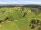 Photo - 2653 Cargo Road, Cargo NSW 2800 - Image 5
