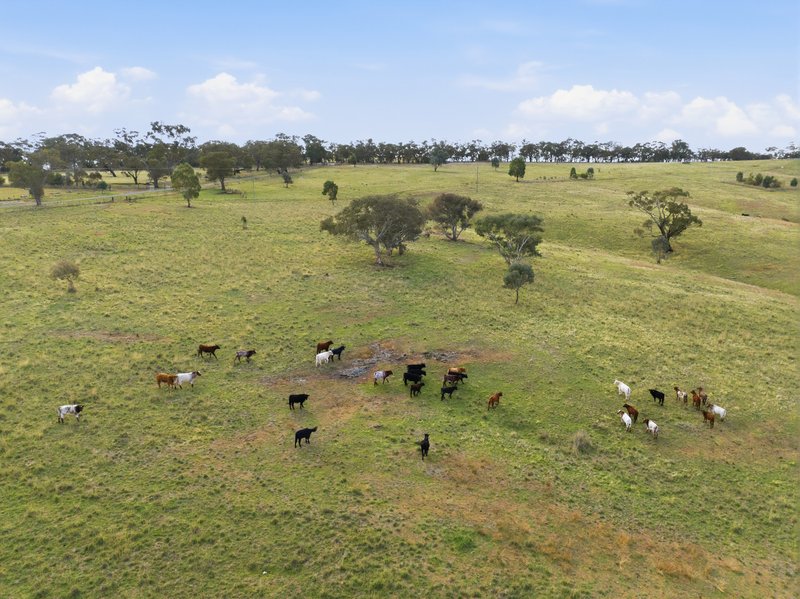 Photo - 2653 Cargo Road, Cargo NSW 2800 - Image 14