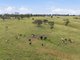 Photo - 2653 Cargo Road, Cargo NSW 2800 - Image 14