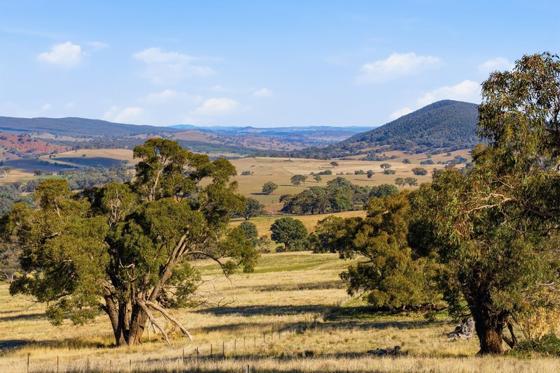 Photo - 2653 Cargo Road, Cargo NSW 2800 - Image 19