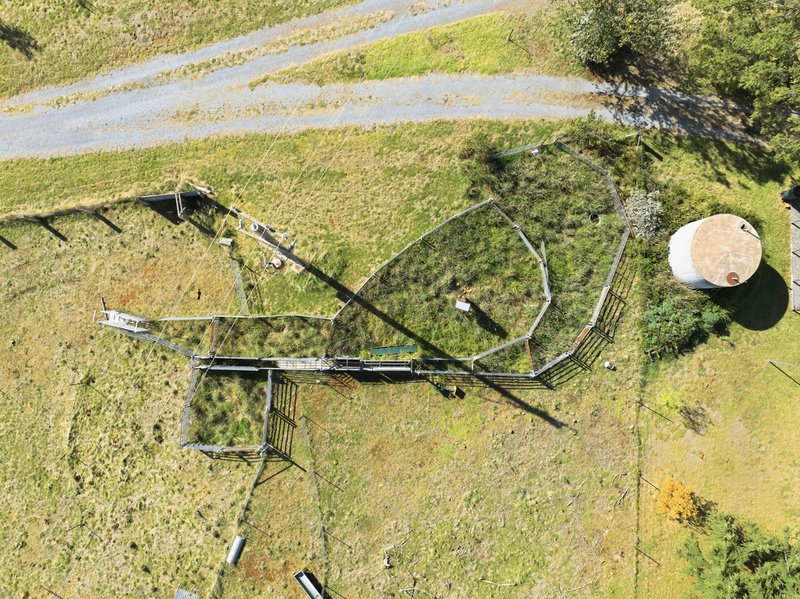 Photo - 2653 Cargo Road, Cargo NSW 2800 - Image 30