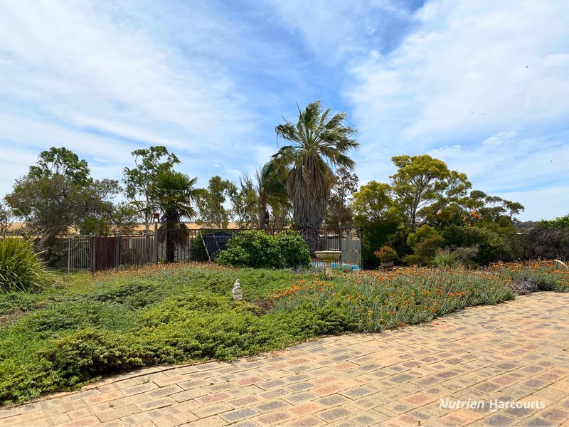 Photo - 2655 Huandanning Road, Trayning WA 6488 - Image 22