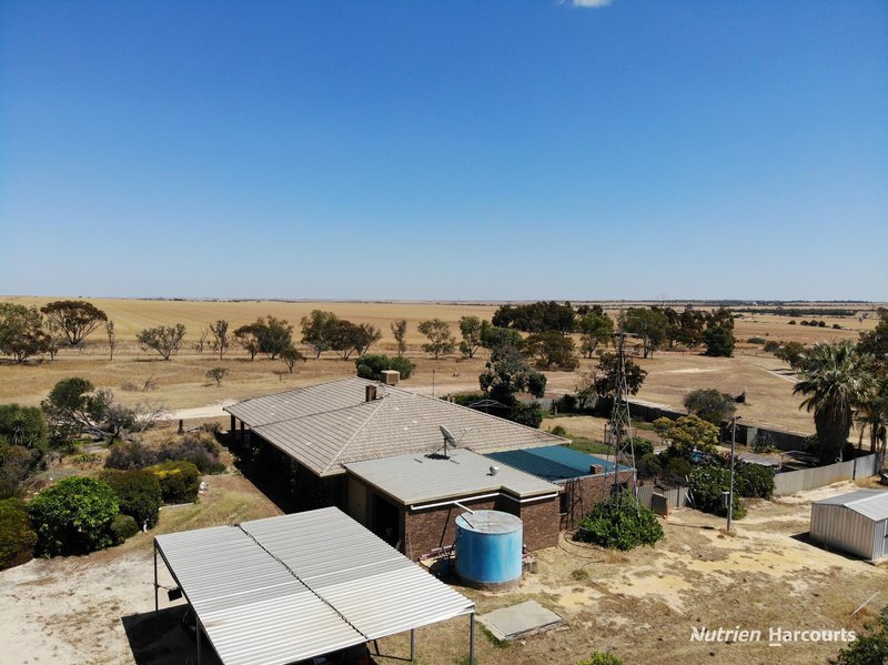 Photo - 2655 Huandanning Road, Trayning WA 6488 - Image 28