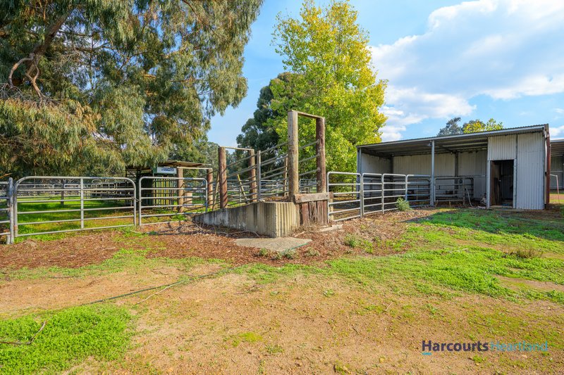 Photo - 26582 South Western Highway, Wilgarrup WA 6258 - Image 29