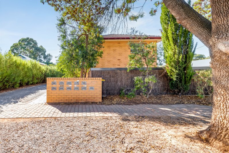 Photo - 2/67 Balham Avenue, Kingswood SA 5062 - Image 1
