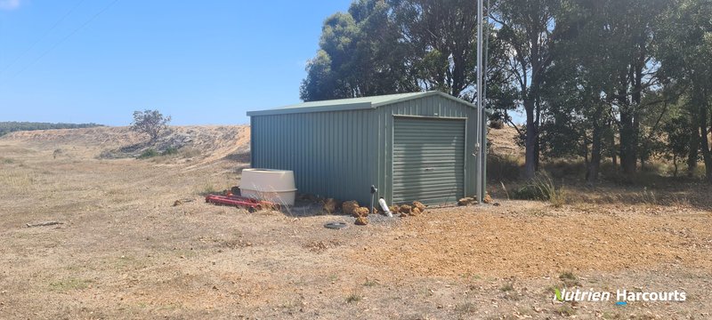 Photo - 267 Spencer Road, Narrikup WA 6326 - Image 14