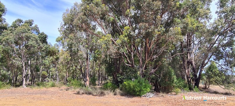 Photo - 267 Spencer Road, Narrikup WA 6326 - Image 27