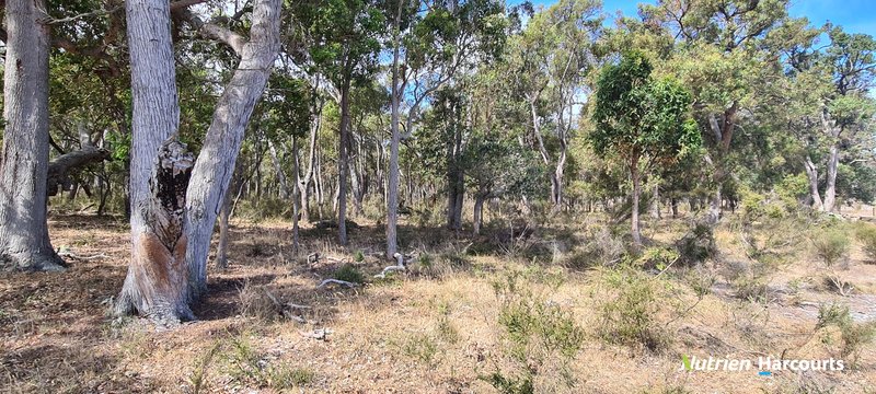 Photo - 267 Spencer Road, Narrikup WA 6326 - Image 28