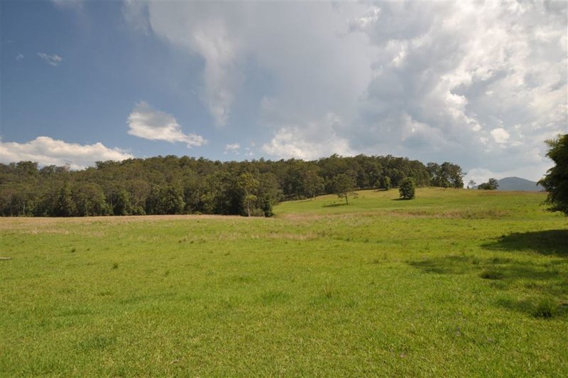 Photo - 268 Gum Scrub Road, Gum Scrub NSW 2441 - Image 9