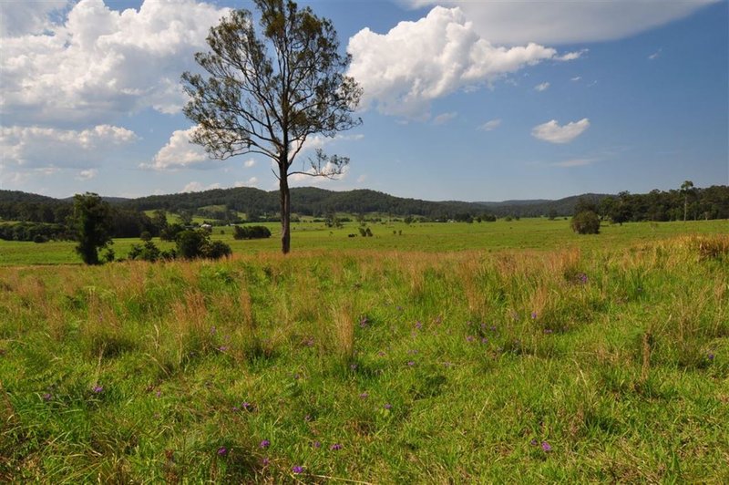 Photo - 268 Gum Scrub Road, Gum Scrub NSW 2441 - Image 12