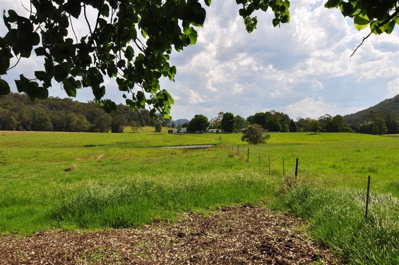 Photo - 268 Gum Scrub Road, Gum Scrub NSW 2441 - Image 14