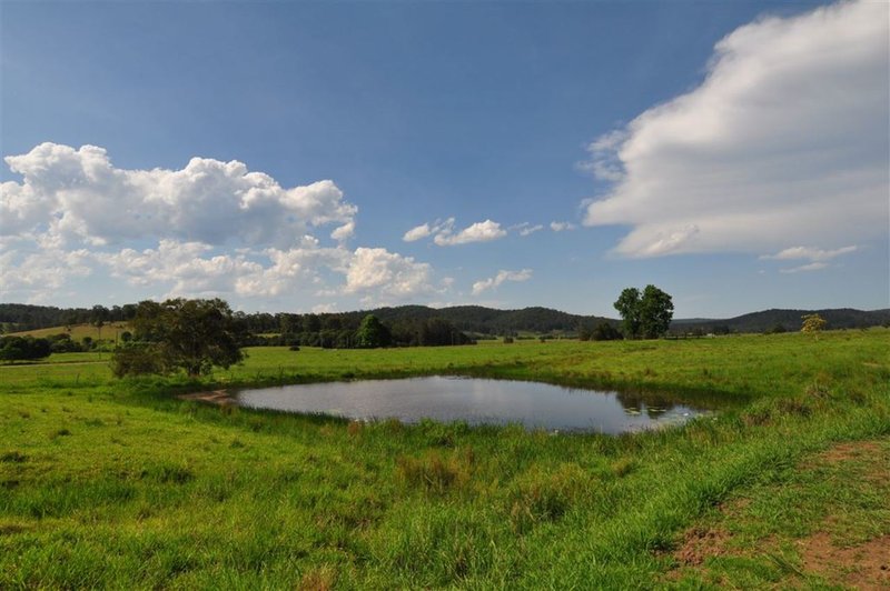 Photo - 268 Gum Scrub Road, Gum Scrub NSW 2441 - Image 15