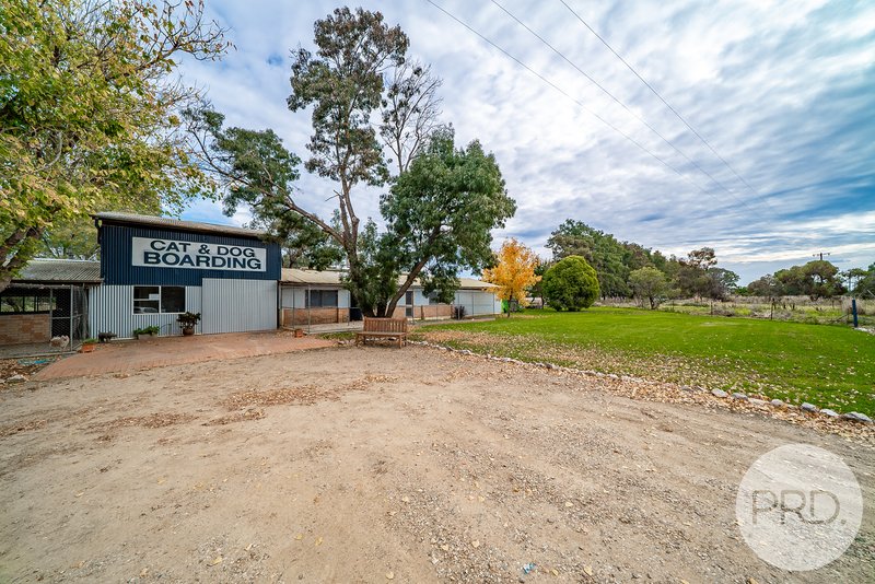 Photo - 268 Oura Road, North Wagga Wagga NSW 2650 - Image 27