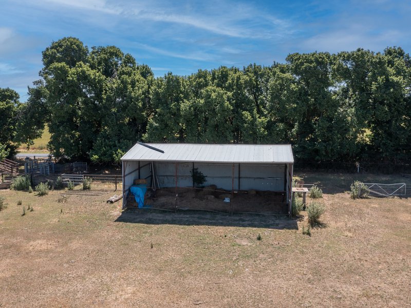 Photo - 268 Oxley Plains Road, Milawa VIC 3678 - Image 30