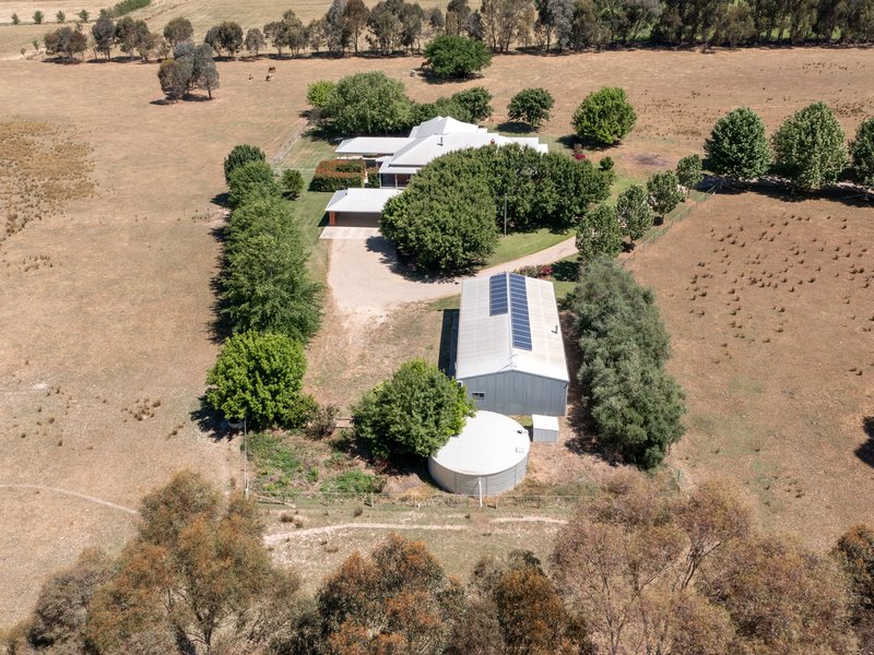 Photo - 268 Oxley Plains Road, Milawa VIC 3678 - Image 32