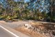 Photo - 2680 Bells Line Of Road, Bilpin NSW 2758 - Image 1