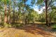 Photo - 269 Gold Gully Road, Nannup WA 6275 - Image 10