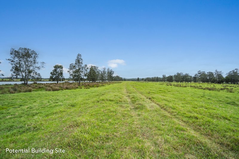 Photo - 269 Newline Road, Raymond Terrace NSW 2324 - Image 3