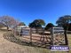 Photo - 269 Reagon Road, Kingaroy QLD 4610 - Image 20