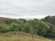 Photo - 269 Sandhills Road, Goulburn NSW 2580 - Image 22