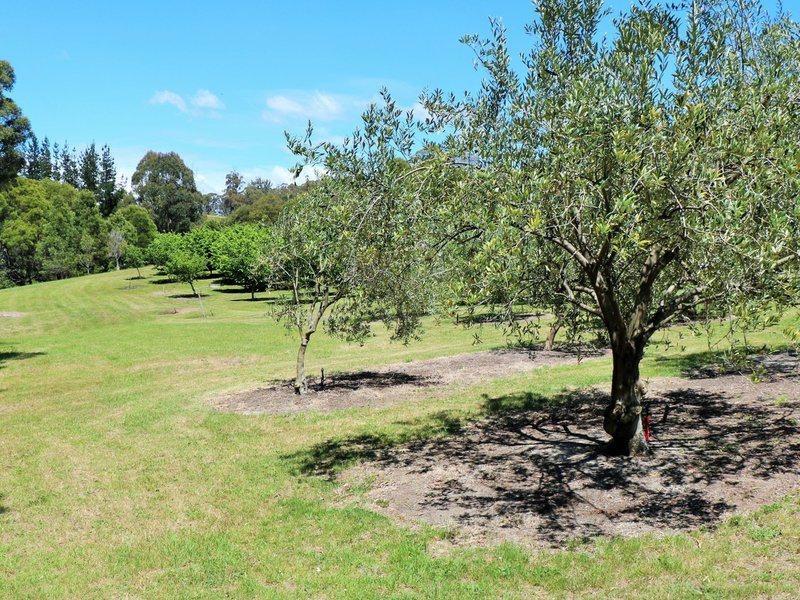 Photo - 26905 Tasman Highway, Goshen TAS 7216 - Image 21