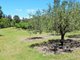 Photo - 26905 Tasman Highway, Goshen TAS 7216 - Image 21