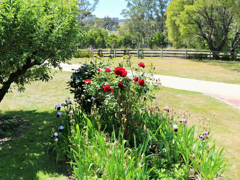 Photo - 26905 Tasman Highway, Goshen TAS 7216 - Image 23