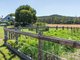 Photo - 26982 Tasman Highway, Goshen TAS 7216 - Image 20