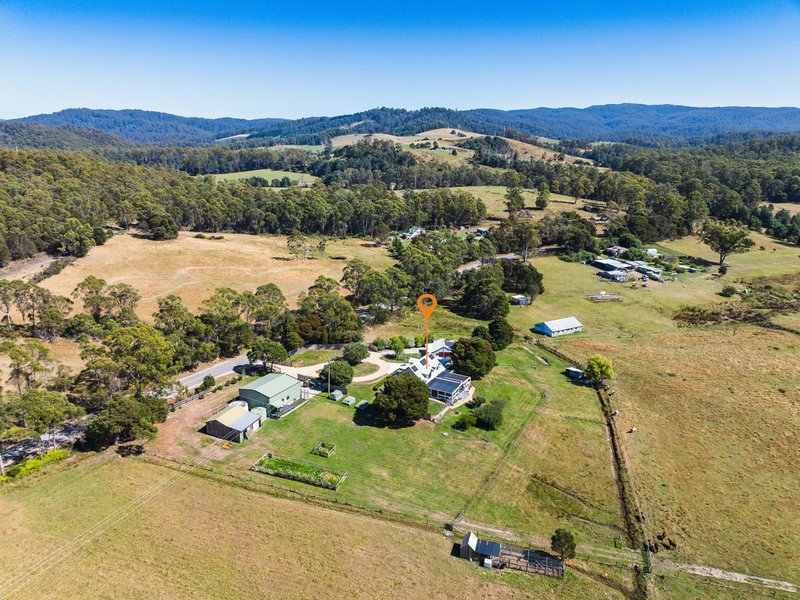 Photo - 26982 Tasman Highway, Goshen TAS 7216 - Image 22