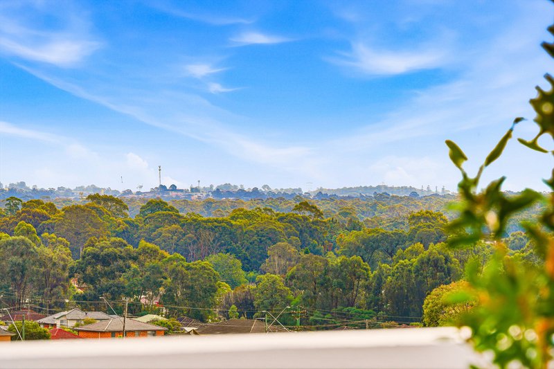 Photo - 27-33 Ascot Street, Canley Heights NSW 2166 - Image 25