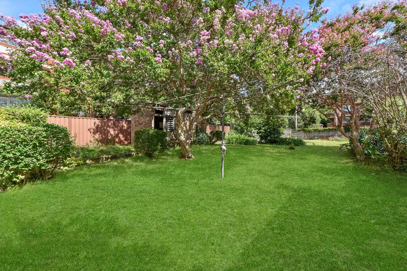 Photo - 27 Albert Road, Strathfield NSW 2135 - Image 4