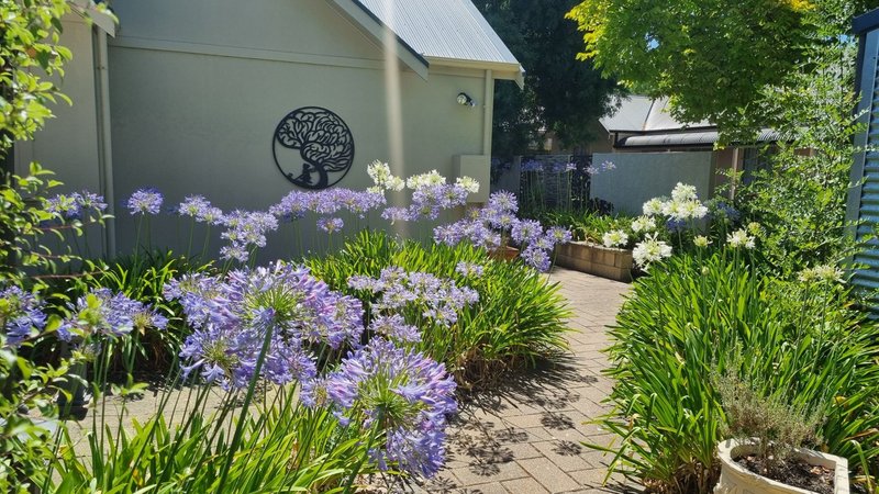 Photo - 27 Auricht Road, Hahndorf SA 5245 - Image 32