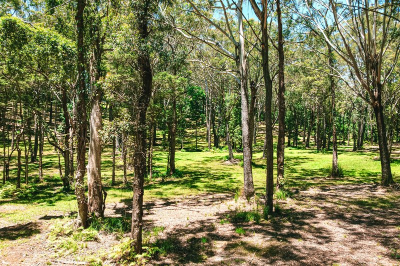 Photo - 27 Bounty Hill Road, Macmasters Beach NSW 2251 - Image 5