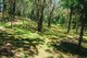 Photo - 27 Bounty Hill Road, Macmasters Beach NSW 2251 - Image 7