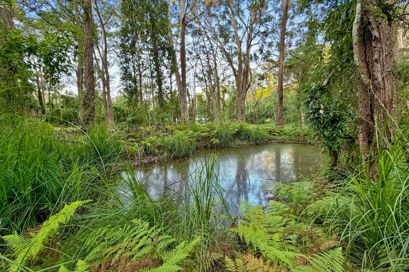 Photo - 27 Bounty Hill Road, Macmasters Beach NSW 2251 - Image 12