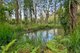 Photo - 27 Bounty Hill Road, Macmasters Beach NSW 2251 - Image 12
