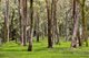 Photo - 27 Bounty Hill Road, Macmasters Beach NSW 2251 - Image 13
