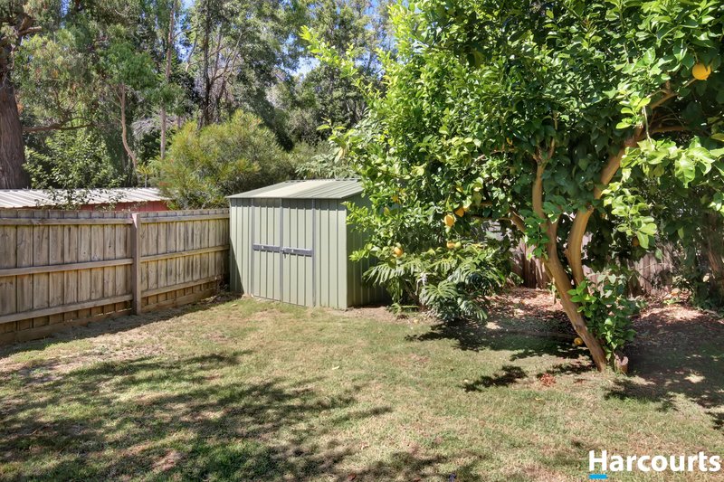 Photo - 27 Callaway Crescent, Leongatha VIC 3953 - Image 13