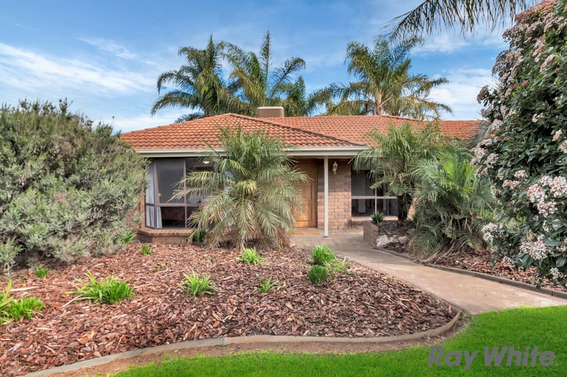 Photo - 27 Causby Cres , Willaston SA 5118 - Image 16