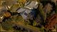 Photo - 27 Charlton Close, Bowral NSW 2576 - Image 15