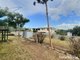 Photo - 27 Cockatoo Drive, New Auckland QLD 4680 - Image 14