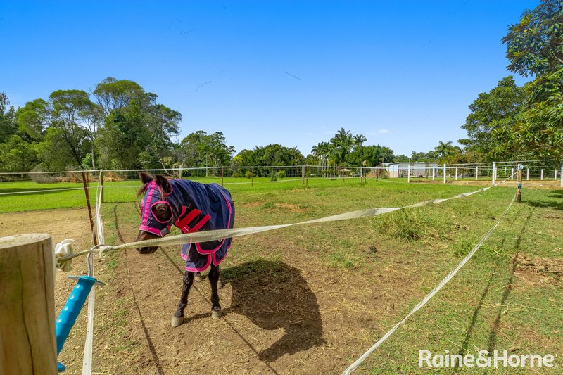 Photo - 27 Curry Court, Cooroy QLD 4563 - Image 25