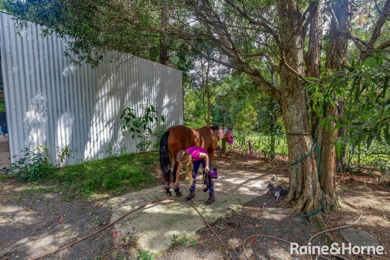 Photo - 27 Curry Court, Cooroy QLD 4563 - Image 26