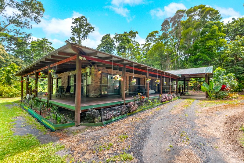 Photo - 27 Gregory Terrace, Kuranda QLD 4881 - Image 4