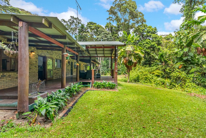 Photo - 27 Gregory Terrace, Kuranda QLD 4881 - Image 17